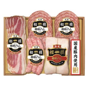 相模ハム 国産豚肉使用バラエティギフト5点入りSGK-600 1個676g 【お届け期間:11/14(金)〜12/24(水)】【冬の贈りもの・お歳暮】【MK】