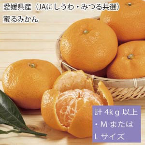 愛媛県産(JAにしうわ・みつる共選)蜜るみかん計4kg以上・MまたはLサイズ(特秀)【お届け期間:11月15日〜12月28日】【従業員感謝WEEK】【NN】