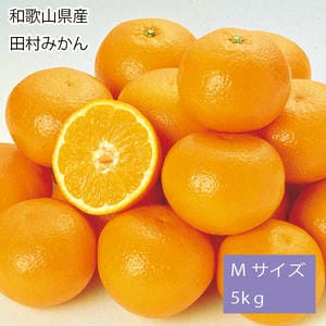 和歌山県産田村みかん計5kg以上・Mサイズ(赤秀)【お届け期間:11月25日〜12月28日】【従業員感謝WEEK】【NN】