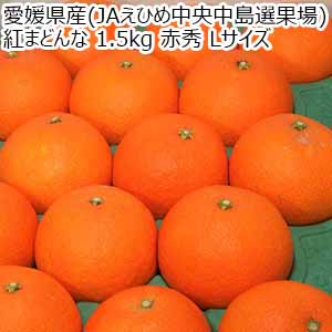 愛媛県産(JAえひめ中央中島選果場) 紅まどんな 1.5kg 赤秀 Lサイズ【限定150点】【お届け期間:11月20日〜12月25日】【ブラックフライデー】