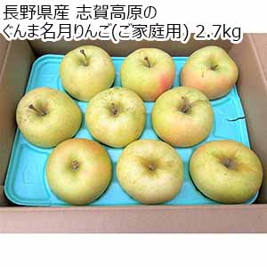 長野県産 志賀高原のぐんま名月りんご(ご家庭用) 2.7kg【限定1000点】【お届け期間:12月1日〜12月28日】【ブラックフライデー】
