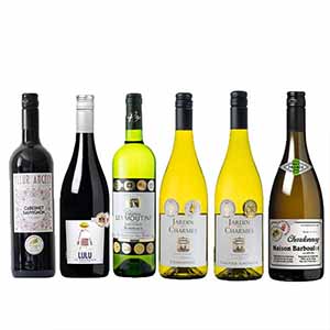 フランス産赤白ワイン6本セット (750ml×6)【ブラックフライデー】