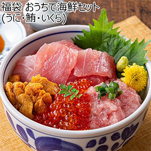 福袋 おうちで海鮮セット (うに・鮪・いくら)【お届け期間：1月5日〜1月12日】【福袋】