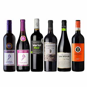 バラエティ赤ワインセレクション6本セット各750ml【おいしいお取り寄せ】