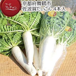 京都府舞鶴市 佐波賀だいこん 4本入 (1本1.5kg以上)【限定50点】【お届け期間：1月20日〜2月10日】【フードアルチザン】