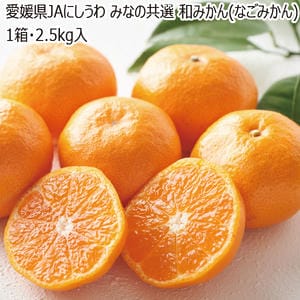 愛媛県JAにしうわ　みなの共選和みかん(なごみかん)1箱・2.5kg入【お届け期間】2025/12/1‐2025/12/14【ブラックフライデー】【KN】