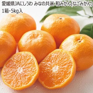 愛媛県JAにしうわ　みなの共選和みかん(なごみかん)1箱・5kg入【お届け期間】2025/12/1‐2025/12/14【ブラックフライデー】【KN】
