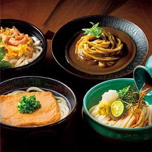 うどん本陣山田家 冷凍讃岐うどん 4種の味の詰合せ【冬の贈りもの・お歳暮】【NN】