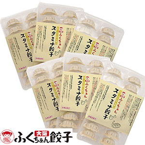 大阪ふくちぁん餃子 スタミナ餃子セット スタミナ餃子(18g×18)×6【ブラックフライデー】【NN】
