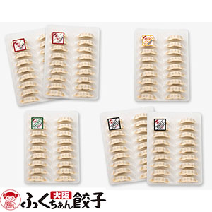 大阪ふくちぁん餃子 餃子バラエティセット 大阪ふくちぁん餃子(18g×18)×2、黒豚餃子(18g×18)×2、スタミナ餃子(18g×18)、九条ねぎ餃子(18g×18)【ブラックフライデー】【NN】