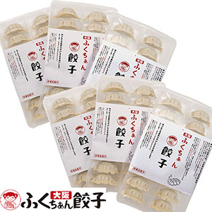 大阪ふくちぁん餃子 大阪ふくちぁん餃子セット 大阪ふくちぁん餃子(18g×18)×6【ブラックフライデー】【NN】