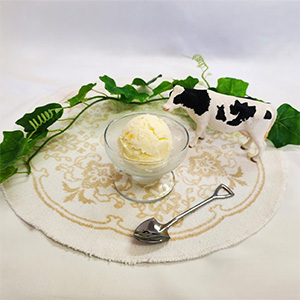 和歌山 黒沢牧場 クラフト三宝柑アイス 1L【ブラックフライデー】【NN】