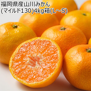 福岡県産山川みかん(マイルド130)4kg箱山川みかん4kg箱(L〜S)【お届け期間:12月10日〜12月25日】【NN】