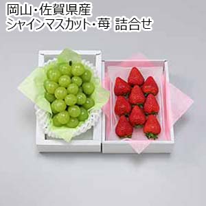 岡山・佐賀県産 シャインマスカット・苺 詰合せ【限定200点】【お届け期間：12月25日〜12月29日】【年末年始ごちそう特集】