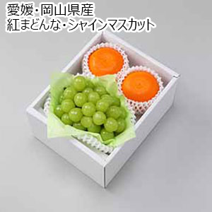 愛媛・岡山県産 紅まどんな・シャインマスカット 詰合せ【限定200点】【お届け期間：12月25日〜12月29日】【年末年始ごちそう特集】