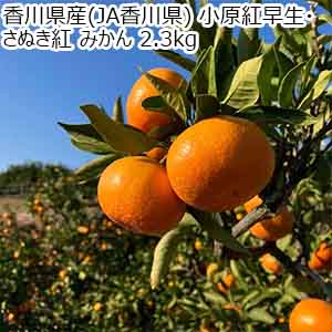 香川県産(JA香川県) 小原紅早生・さぬき紅 みかん 2.3kg【限定10点】【お届け期間：12月8日〜12月24日】【おいしいお取り寄せ】