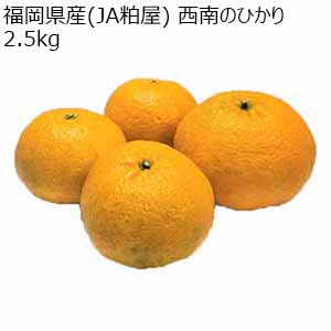 福岡県産(JA粕屋) 西南のひかり 2.5kg【限定200点】【お届け期間：1月15日〜1月31日】【おいしいお取り寄せ】