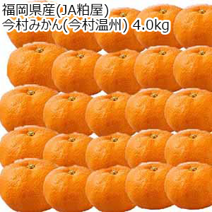 福岡県産(JA粕屋) 今村みかん(今村温州) 4.0kg【限定200点】【お届け期間：1月15日〜1月31日】【おいしいお取り寄せ】