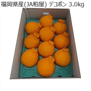 福岡県産(JA粕屋) デコポン 3.0kg【お届け期間：2月20日〜3月8日】【お買い得セール2月】