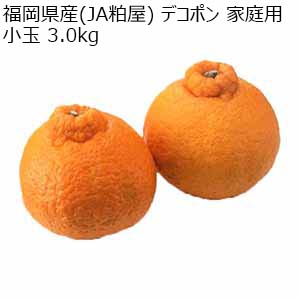 福岡県産(JA粕屋) デコポン 家庭用小玉 3.0kg【限定200点】【お届け期間：2月20日〜3月31日】【お買い得セール2月】