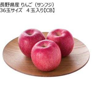長野県産 りんご(サンフジ)36玉サイズ 4玉入り【ブラックフライデー】【CB】