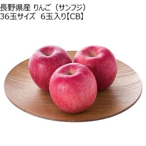 長野県産 りんご(サンフジ)36玉サイズ 6玉入り【ブラックフライデー】【CB】