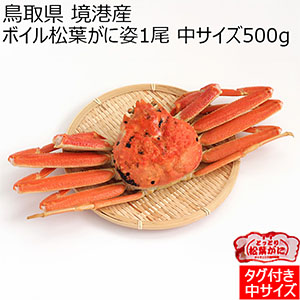 鳥取県 境港産 ボイル松葉がに(ずわいがに)姿1尾 中サイズ500g【お届け期間：12月10日〜12月17日】【おいしいお取り寄せ】