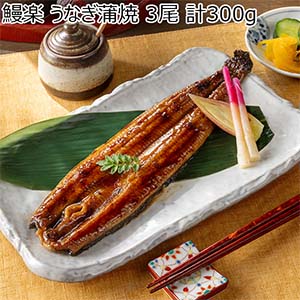 鰻楽 うなぎ蒲焼 3尾 計300g(九州産原料)【限定75点】【イオンゴールドカード会員さま限定特別セール12月】