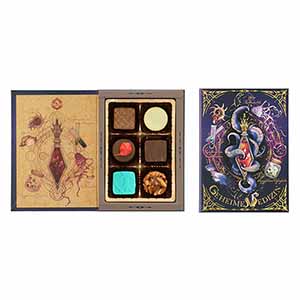 メリーチョコレート ナハトラビュリント ゲハイメ・メディチーン(秘薬)【お届け期間：1月15日〜2月21日】【バレンタイン】