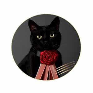 DADACA CACAOCAT缶NOIR チョコレート菓子5個入【お届け期間：1月15日〜2月21日】【バレンタイン】