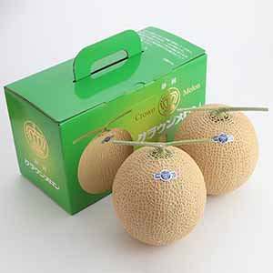 旬とごちそうコース「お肉・海鮮・果物」 静岡県産(静岡県温室農業協同組合 クラウンメロン支所) クラウンメロン 白等級 2玉入り 化粧箱