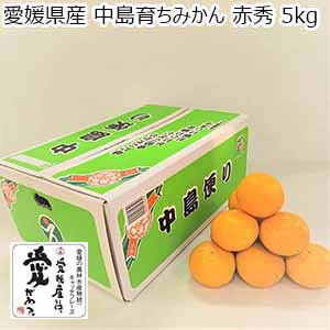 愛媛県産 中島育ちみかん 赤秀 5kg【お届け期間：12月10日〜12月28日】【おいしいお取り寄せ】