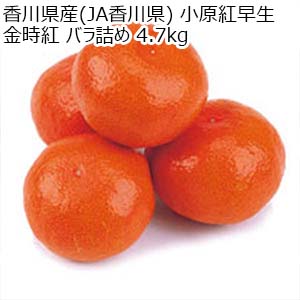 香川県産(JA香川県) 小原紅早生 金時紅 バラ詰め 4.7kg【お届け期間：12月10日〜12月20日】【おいしいお取り寄せ】