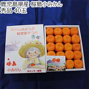 鹿児島県産 桜島小みかん 秀品 40玉【限定10点】【お届け期間：12月15日〜12月25日】【おいしいお取り寄せ】