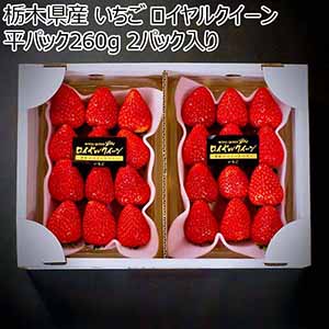 栃木県産 いちご ロイヤルクイーン 平パック260g 2パック入り【限定100点】【お届け期間：2月10日〜3月30日】【おいしいお取り寄せ】