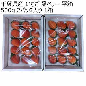 千葉県産 いちご 愛ベリー 平箱500g 2パック入り 1箱【限定100点】【お届け期間：2月10日〜3月30日】【おいしいお取り寄せ】