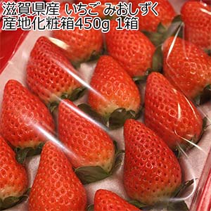 滋賀県産 いちご みおしずく 産地化粧箱450g 1箱【限定50点】【お届け期間：2月10日〜3月30日】【おいしいお取り寄せ】