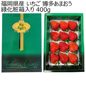 福岡県産 いちご 博多あまおう 緑化粧箱入り 400g【お届け期間：1月7日〜2月10日】【おいしいお取り寄せ】