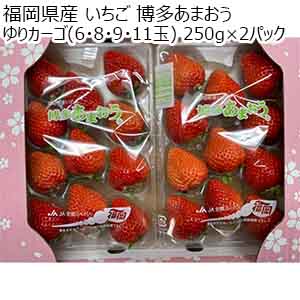 福岡県産 いちご 博多あまおう ゆりカーゴ(6・8・9・11玉) 250g×2パック【お届け期間：1月7日〜2月10日】【おいしいお取り寄せ】