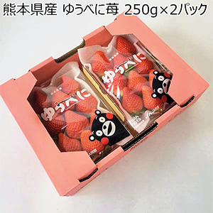 熊本県産 ゆうべに苺 250g×2パック【お届け期間：1月7日〜2月28日】【おいしいお取り寄せ】
