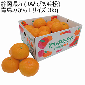 静岡県産(JAとぴあ浜松) 青島みかん Lサイズ 3kg【限定300点】【お届け期間：1月10日〜2月10日】【Ａセレクション1月】