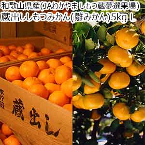 和歌山県産(JAわかやま しもつ蔵夢選果場)蔵出ししもつみかん(雛みかん)5kg L【限定100点】【お届け期間：1月20日〜2月28日】【初売り】【おいしいお取り寄せ】