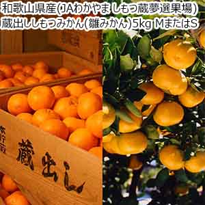 和歌山県産(JAわかやま しもつ蔵夢選果場)蔵出ししもつみかん(雛みかん)5kg MまたはS【限定100点】【お届け期間：1月20日〜2月28日】【初売り】【おいしいお取り寄せ】