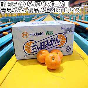 静岡県産(JAみっかび) 三ケ日 青島みかん 優品以上 4kg Lサイズ【お届け期間：1月7日〜2月10日】【初売り】