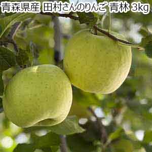 青森県産 田村さんのりんご 青林 3kg【限定50点】【お届け期間：1月10日〜1月20日】【初売り】