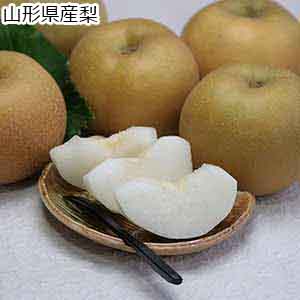 山形県産梨【お届け期間：1月10日〜1月20日】【初売り】