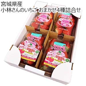 宮城県産 小林さんのいちご おまかせ4種詰合せ【限定200点】【お届け期間：1月20日〜2月20日】【初売り】