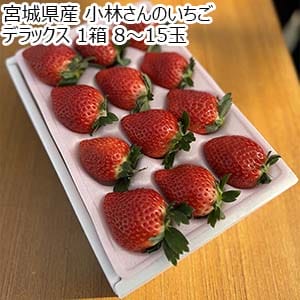 宮城県産 小林さんのいちご デラックス 赤 8〜15個【お届け期間：1月20日〜2月20日】【初売り】