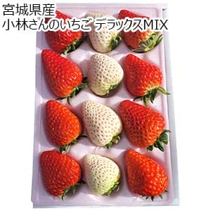 宮城県産 小林さんのいちご デラックス MIX 8〜15個【お届け期間：1月20日〜2月20日】【初売り】