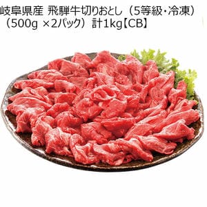 岐阜県産 飛騨牛切りおとし(5等級・冷凍)(500g ×2パック)計1kg【CB】